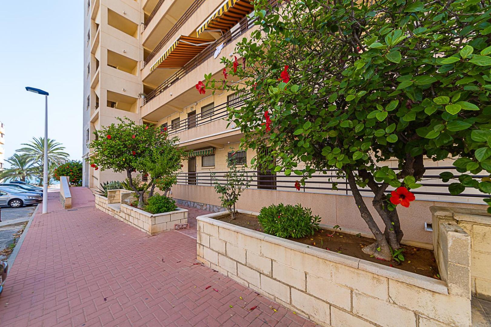 Miramar Magic Sea & Sunrise View Leilighet Torrevieja Eksteriør bilde